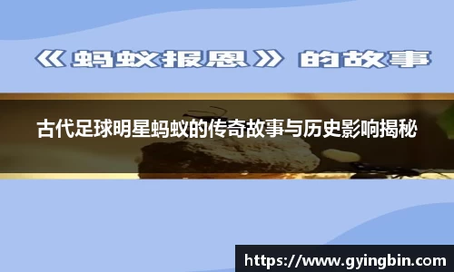 古代足球明星蚂蚁的传奇故事与历史影响揭秘